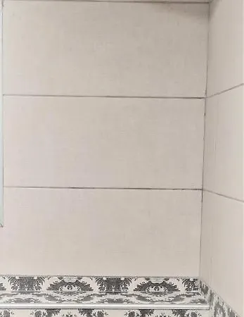 2v1 - 21 Dhjetori Sg * تيرانا