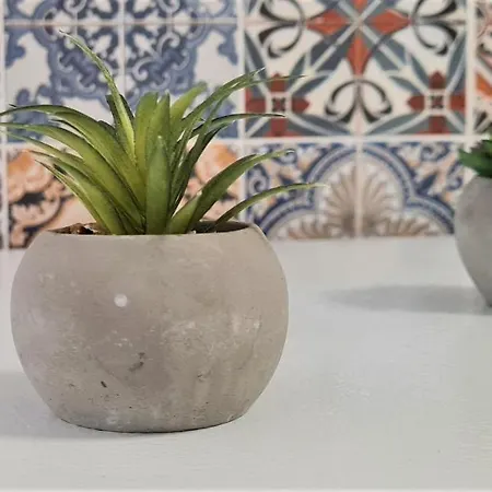 2v1 - 21 Dhjetori Sg Lägenhet *