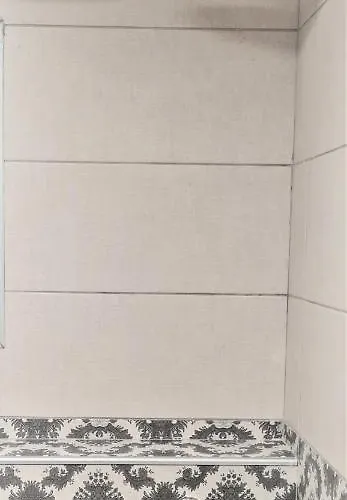 2v1 - 21 Dhjetori Sg * Tirana