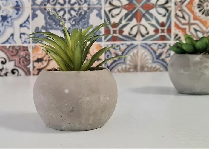 2v1 - 21 Dhjetori Sg Lägenhet *